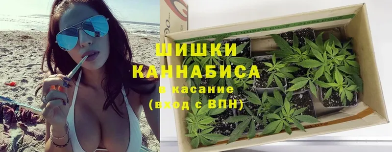 Конопля White Widow  Нерехта 